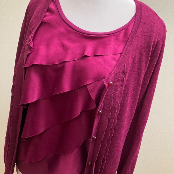 Ann Taylor Deep Rose Sweater Set - Picture 9 of 12